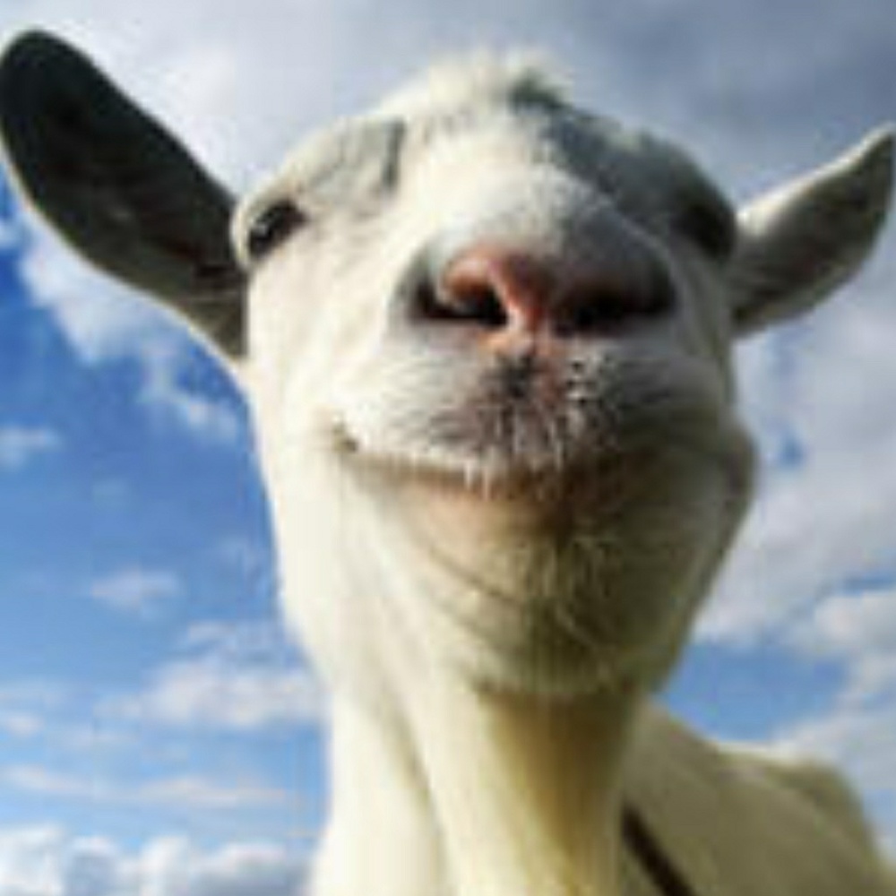 Meet your Posher, Juan